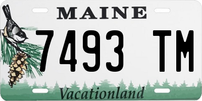 ME license plate 7493TM