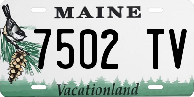 ME license plate 7502TV
