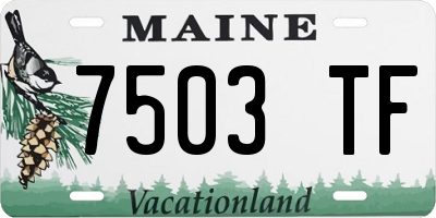 ME license plate 7503TF