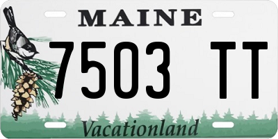ME license plate 7503TT
