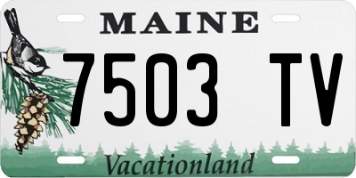 ME license plate 7503TV