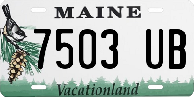 ME license plate 7503UB