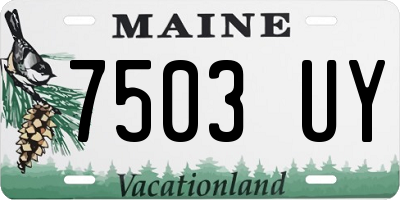 ME license plate 7503UY