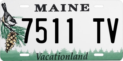 ME license plate 7511TV