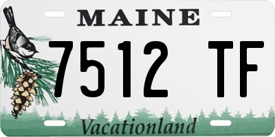 ME license plate 7512TF