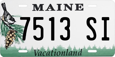 ME license plate 7513SI