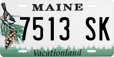 ME license plate 7513SK