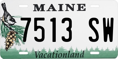 ME license plate 7513SW