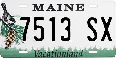 ME license plate 7513SX