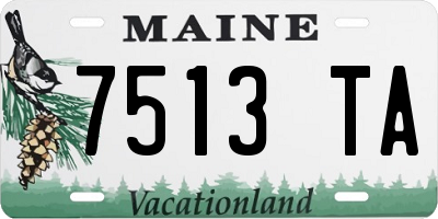 ME license plate 7513TA
