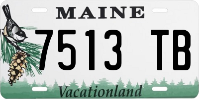 ME license plate 7513TB