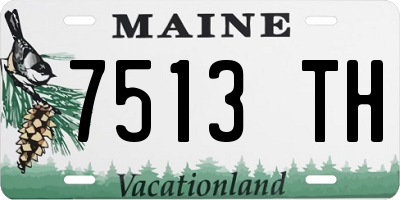 ME license plate 7513TH