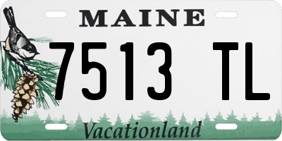 ME license plate 7513TL