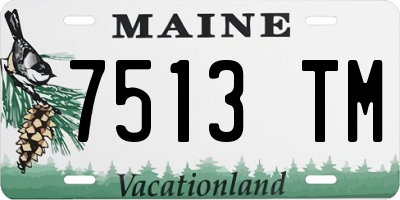 ME license plate 7513TM