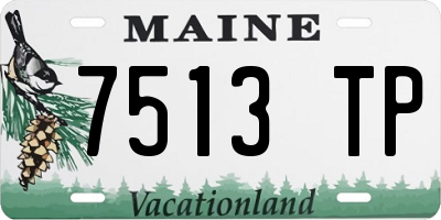 ME license plate 7513TP