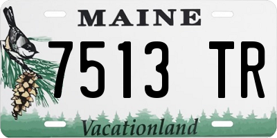 ME license plate 7513TR