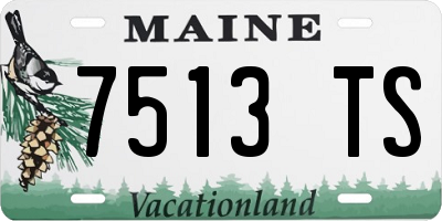 ME license plate 7513TS
