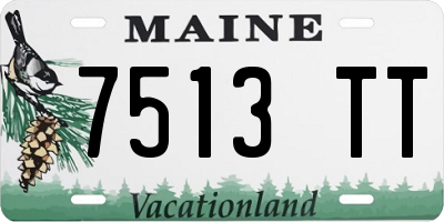 ME license plate 7513TT