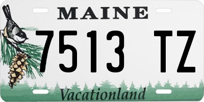 ME license plate 7513TZ