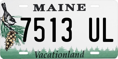 ME license plate 7513UL