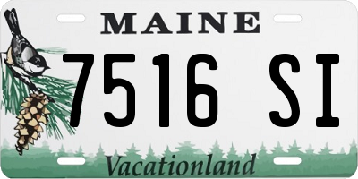 ME license plate 7516SI