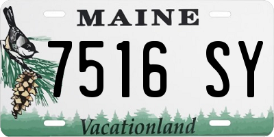 ME license plate 7516SY