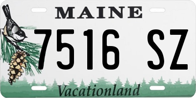 ME license plate 7516SZ