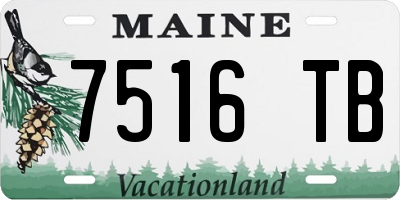 ME license plate 7516TB