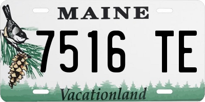 ME license plate 7516TE