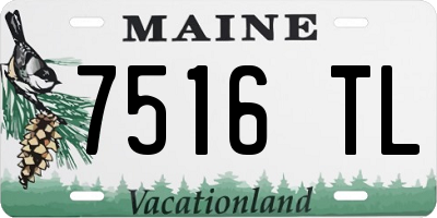 ME license plate 7516TL