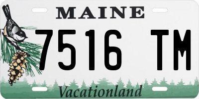 ME license plate 7516TM