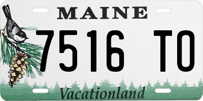 ME license plate 7516TO