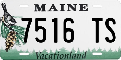ME license plate 7516TS