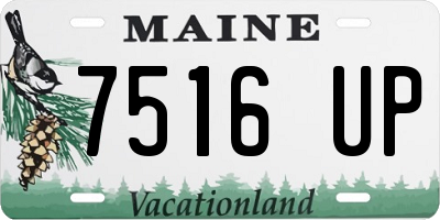 ME license plate 7516UP