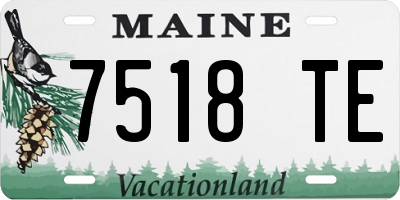 ME license plate 7518TE