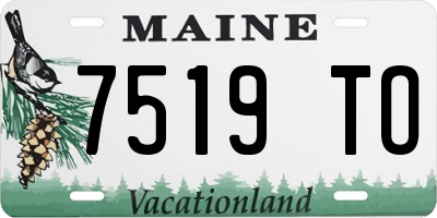 ME license plate 7519TO
