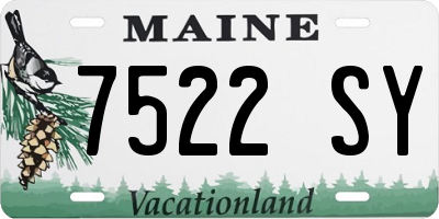 ME license plate 7522SY
