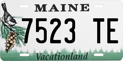 ME license plate 7523TE