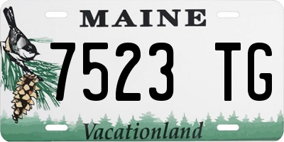 ME license plate 7523TG