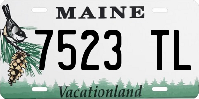 ME license plate 7523TL
