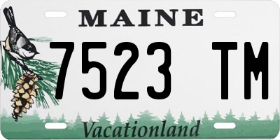 ME license plate 7523TM