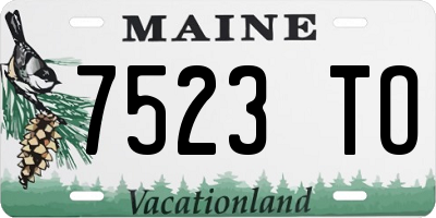 ME license plate 7523TO