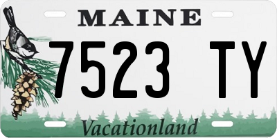 ME license plate 7523TY