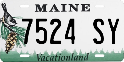 ME license plate 7524SY