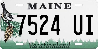 ME license plate 7524UI