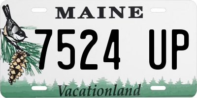 ME license plate 7524UP