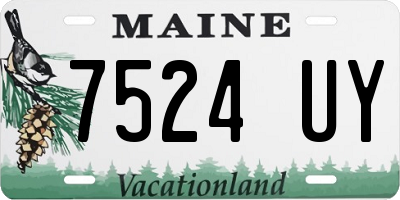 ME license plate 7524UY