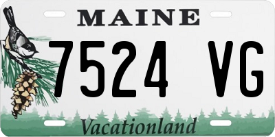 ME license plate 7524VG