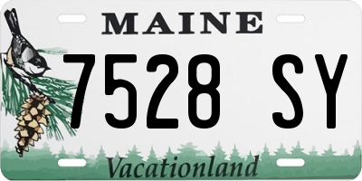 ME license plate 7528SY