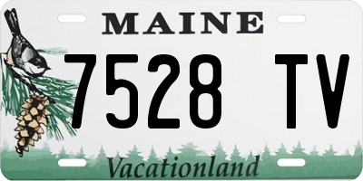 ME license plate 7528TV